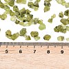 Natural Peridot Beads G-D363-A01-3