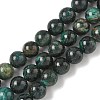 Natural Fuchsite Beads Strands G-G271-B03-8mm-2