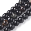Natural Biotite Beads Strands G-L528-06D-1