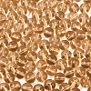 FGB Transparent Glass Seed Beads SEED-N013-01C-05-4