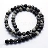 Natural Black Silk Stone/Netstone Beads Strands G-I199-11-20mm-2