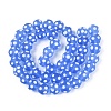 Frosted Handmade Lampwork Beads LAMP-Q039-10G-2