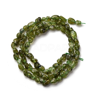 Natural Peridot Beads Strands G-I389-A27-1