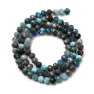 Natural Apatite Beads Strands G-A276-C08-4mm-01-1