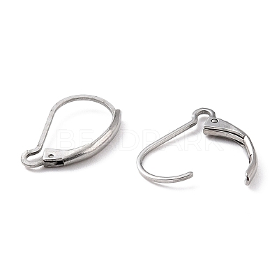 Non-Tarnish 304 Stainless Steel Leverback Earring Findings STAS-K233-04P-1