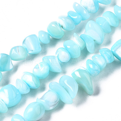 Natural Trochid Shell/Trochus Shell Bead Strands SSHEL-N034-78-C03-1