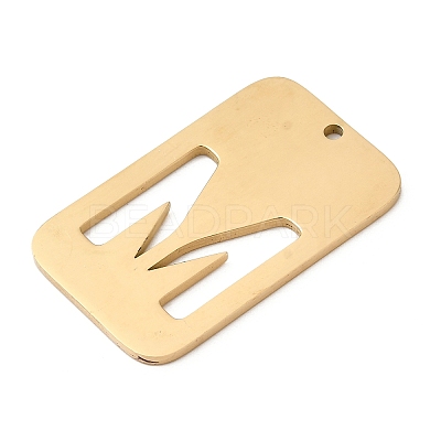 304 Stainless Steel Pendants STAS-D200-01M-G-1