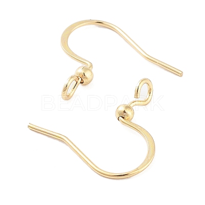 316 Surgical Stainless Steel Earring Hooks X-STAS-K274-10G-1