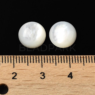 Natural White Shell Cabochons X-SSHEL-M022-01C-1