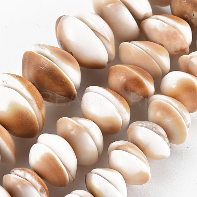 Natural Shell Beads Strands SSHEL-N034-100-1