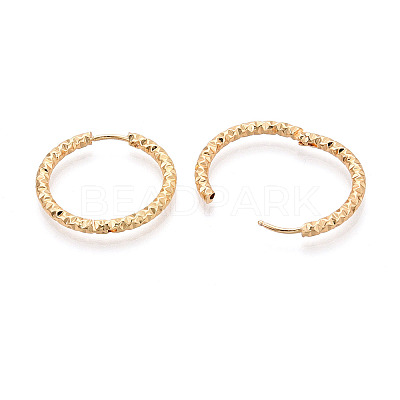 304 Stainless Steel Hoop Earrings STAS-T074-19G-1