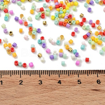 Baking Paint Glass Seed Beads X-SEED-S042-05B-50-1