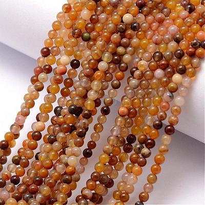 Natural Petrified Wood Bead Strands G-K146-42-3mm-1