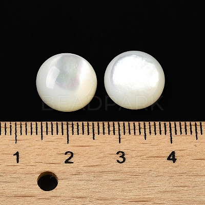 Natural White Shell Cabochons SSHEL-M022-01D-1