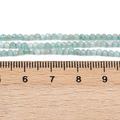 Natural Amazonite Bead Strands X-G-P279-42-2mm-01-1