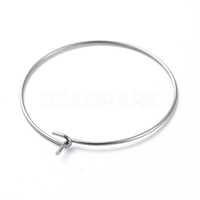 316 Surgical Stainless Steel Hoop Earring Findings STAS-J025-01D-P-1