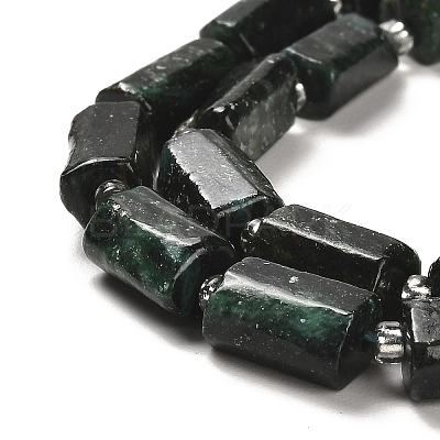 Natural Fuchsite Beads Strands G-N327-06-35-1