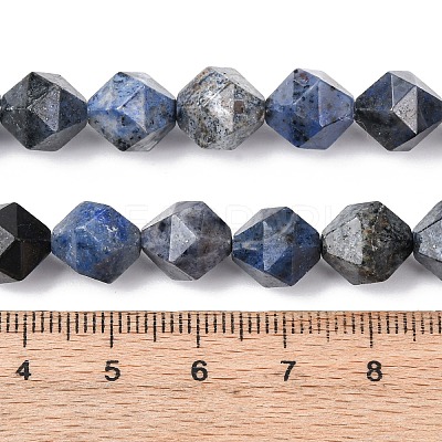 Natural Dumortierite Quartz Beads Strands G-F523-17-10mm-01-1