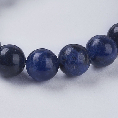 Natural Sodalite Beads Strands G-G515-10mm-07-1