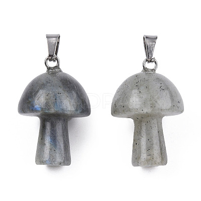 Natural Labradorite Pendants G-N0325-10O-1