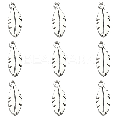 304 Stainless Steel Charms STAS-CJC0008-09P-1