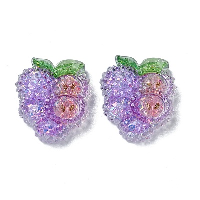 Fruit Transparent Epoxy Resin Decoden Cabochons CRES-I030-23E-1