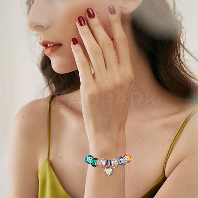 72Pcs 12 Colors Handmade Glass European Beads GLAA-DC0001-55-1