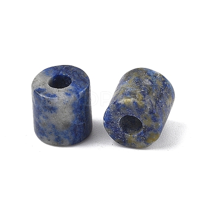 Natural Lapis Lazuli Beads G-I395-B09-1