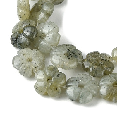 Natural Labradorite Beads Strands G-H023-B19-01-1