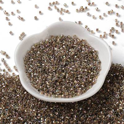 Glass Seed Beads X-SEED-S042-13A-16-1