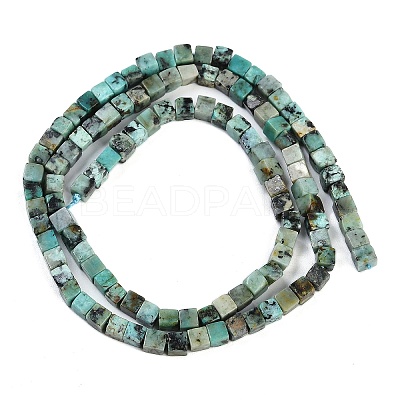 Natural African Turquoise(Jasper) Beads Strands G-B129-A20-01-1