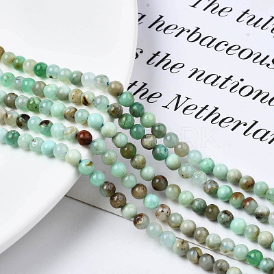 Natural Chrysoprase Beads Strands G-S333-4mm-016-1