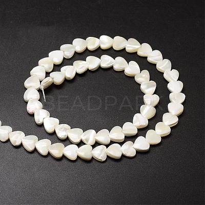 Natural Trochid Shell/Trochus Shell Beads Strands SSHEL-K012-04-1