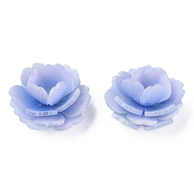 Plastic Beads LS-KY-N015-197B-1
