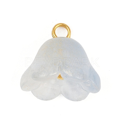 12Pcs 12 Colors Transparent Glass Charm PALLOY-JF04460-1