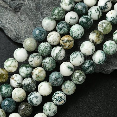 Natural Tree Agate Round Gemstone Beads Strands G-R255-10mm-1