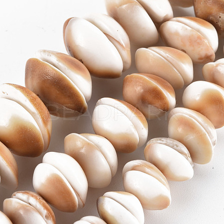 Natural Shell Beads Strands SSHEL-N034-100-1