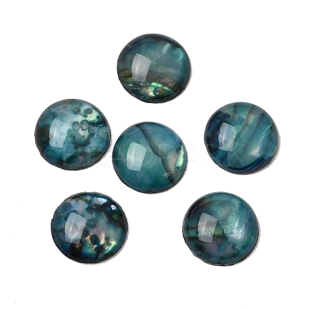 Abalone Shell/Paua Shell Cabochons SSHEL-K003-8MM-1