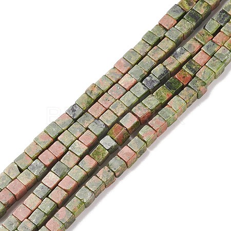 Natural Unakite Beads Strands X-G-F631-K19-1