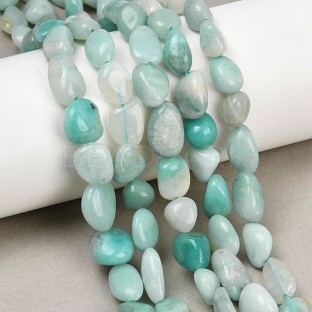 Natural Amazonite Nuggets Beads Strands G-J335-31A-1