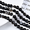 Natural Agate Beads Strands G-N326-100A-12-2