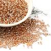 Glass Seed Beads X-SEED-S042-04B-17-1