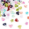 60Pcs 6 Colors Acrylic Beads OACR-TA0003-13-3