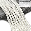 Eco-Friendly Dyed Glass Pearl Round Beads Strands HY-A008-6mm-RB001-2
