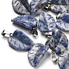 Natural Blue Spot Jasper Pendants G-B127-01P-01-1