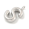 Non-Tarnish 304 Stainless Steel Pendants X-STAS-C102-15P-S-2