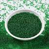 MIYUKI Round Rocailles Beads X-SEED-G009-RR0146-3