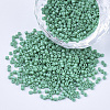 Baking Paint Cylinder Seed Beads SEED-Q036-02A-D04-1