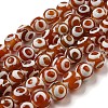 Tibetan Style dZi Beads Strands G-P526-D04-01-1