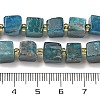 Natural Apatite Beads Strands G-G053-B18-03-5